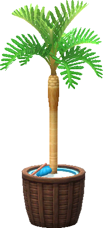 palmier en pot