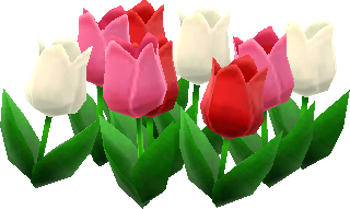 parterre tulipes rouges