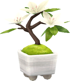 maceta azaleas blancas