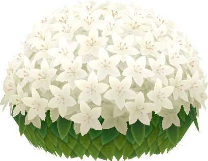 white-azalea shrub