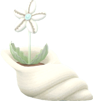 하얀 조가비꽃 화분
