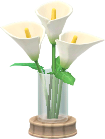 vase d'arums blancs