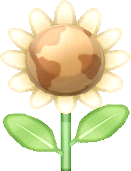 white Earthflower