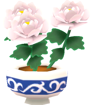 pot pivoines blanches