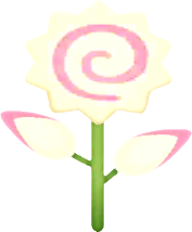 白色鳴門卷花