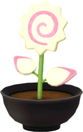 white naruto flower