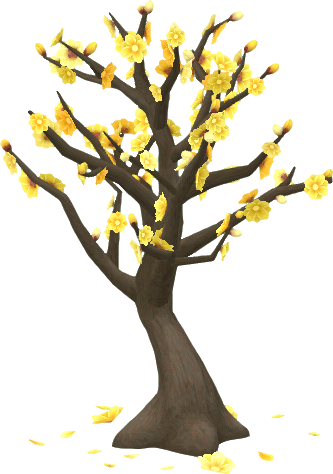 wintersweet tree