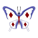 papillon d'hiver