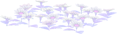 fleurs lac des cygnes