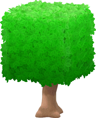 box-trimmed tree