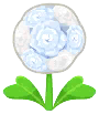 fiore pompon bianco