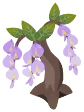 紫色藤花