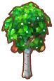 램프 장식 자작나무