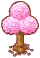 cherry-blossom tree