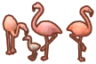 flamingo family