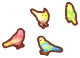 perruches colorées
