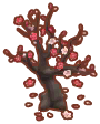  Pflaumenbaum