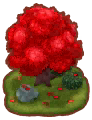 빨간색 단풍 정원 나무