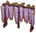 wisteria curtain