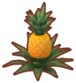  Ananaspflanze