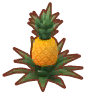 pineapple plant