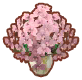 pot d'orchidées roses