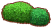 hide-and-seek bushes