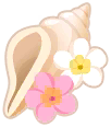 plumeria conch shell