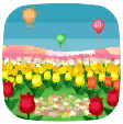 campo di tulipani (sf.)