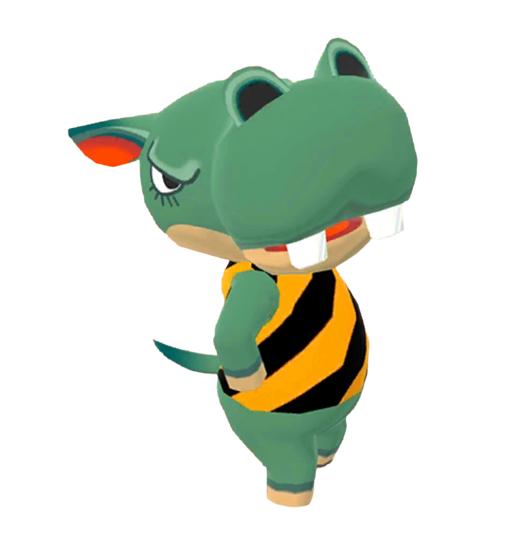 動物森友會 口袋露營廣場 孔在來