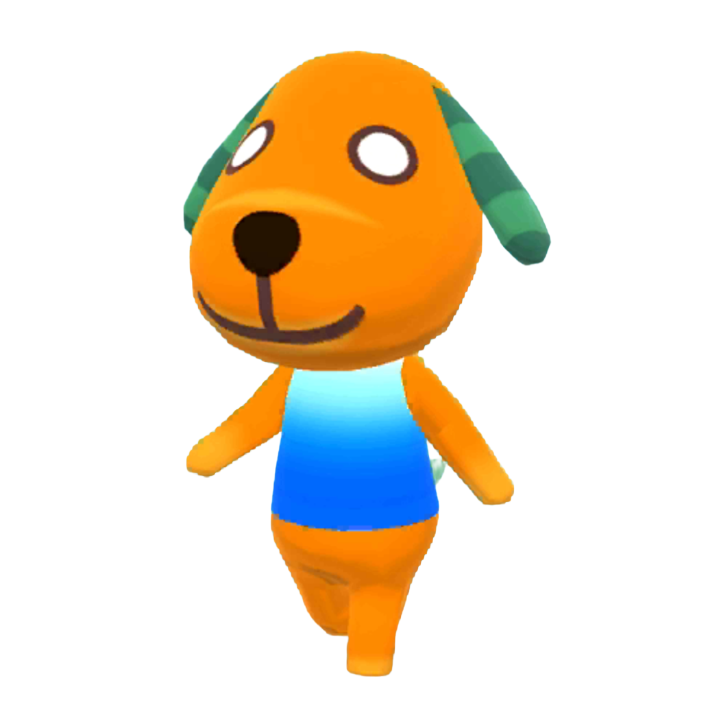 動物森友會 口袋露營廣場 羅賓