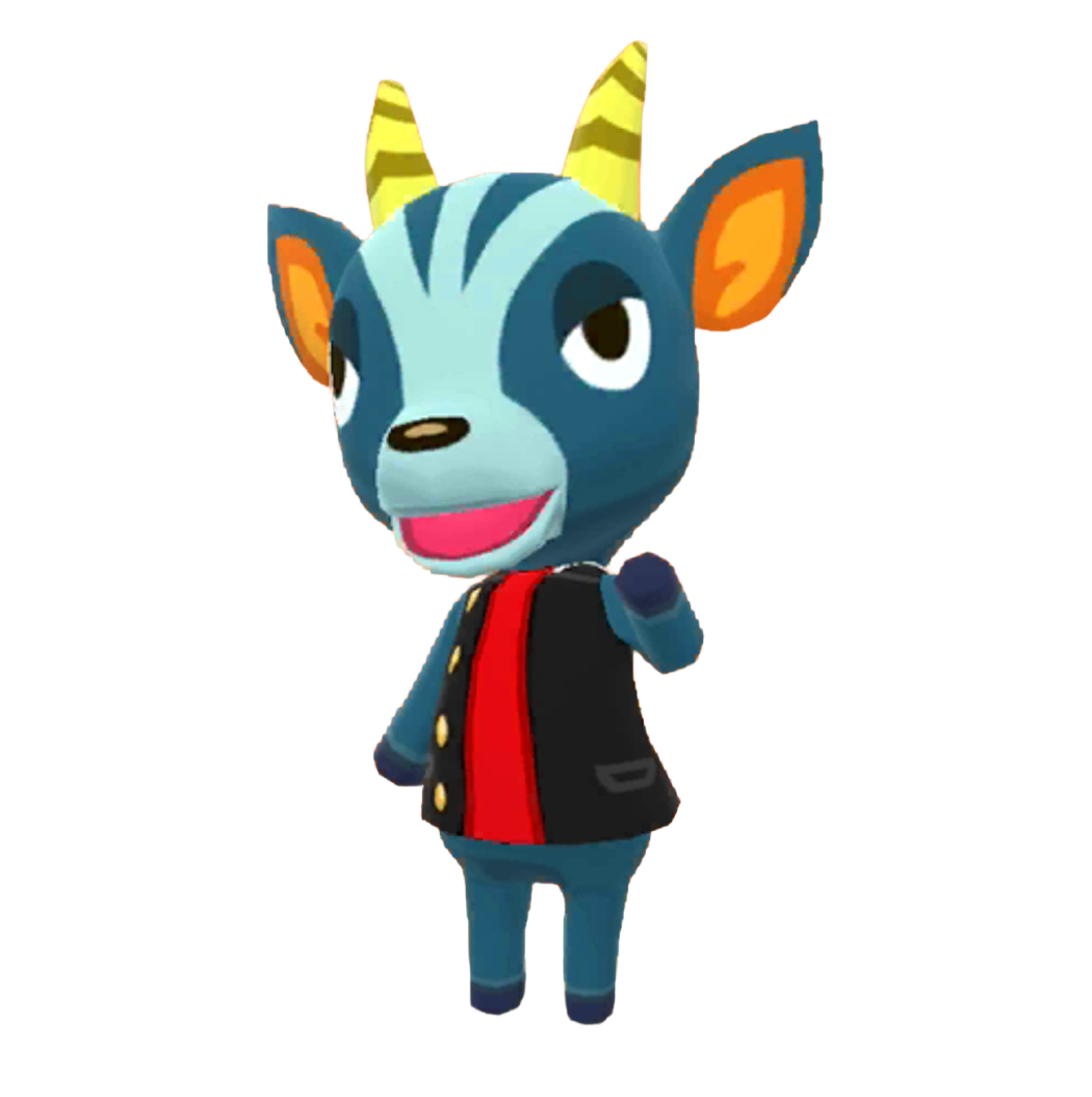 動物森友會 口袋露營廣場 布鹿斯