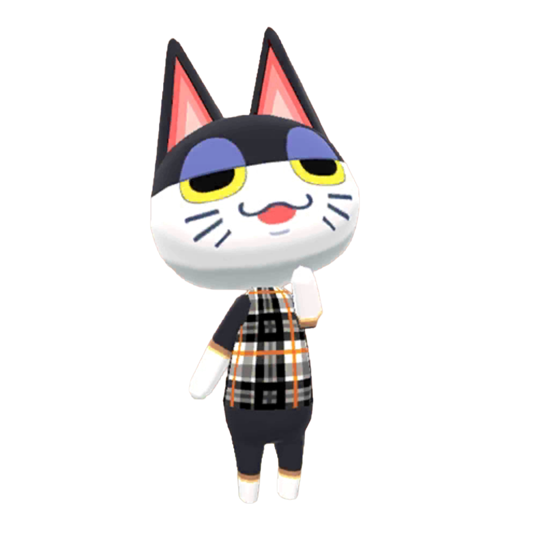 动物森友会 口袋露营广场 尔光