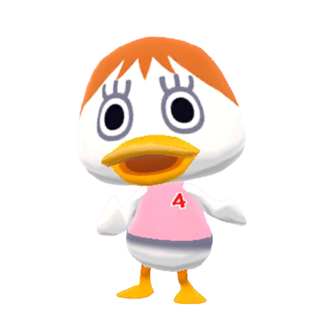 動物森友會 口袋露營廣場 海苔裴