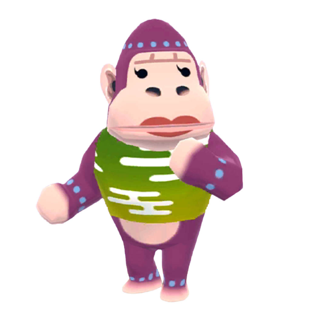 Animal Crossing Pocket Camp Konga