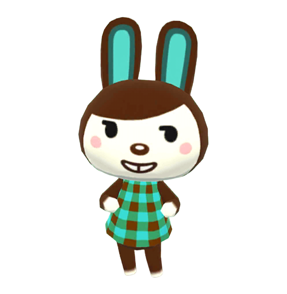 동물의 숲 포켓 캠프 초코