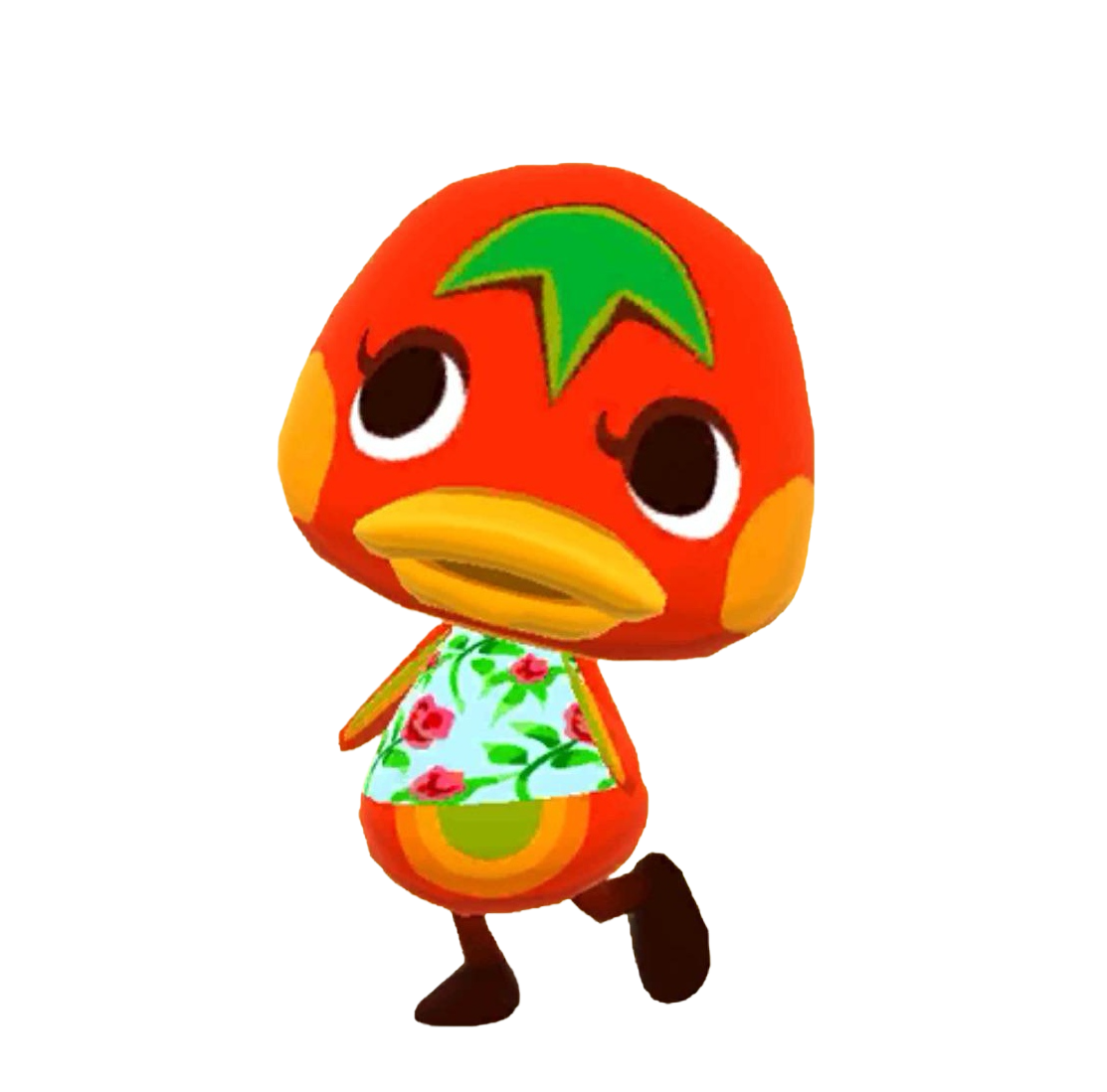 动物森友会 口袋露营广场 番茄酱