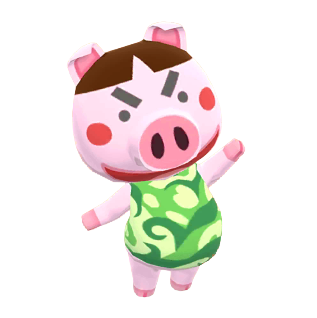 どうぶつの森 ポケットキャンプ コンプリート トンコ